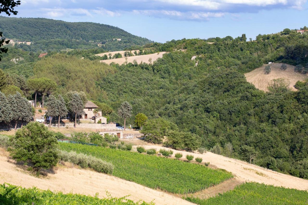 Agriturismo Colle Pu Pieve San Nicolo ภายนอก รูปภาพ