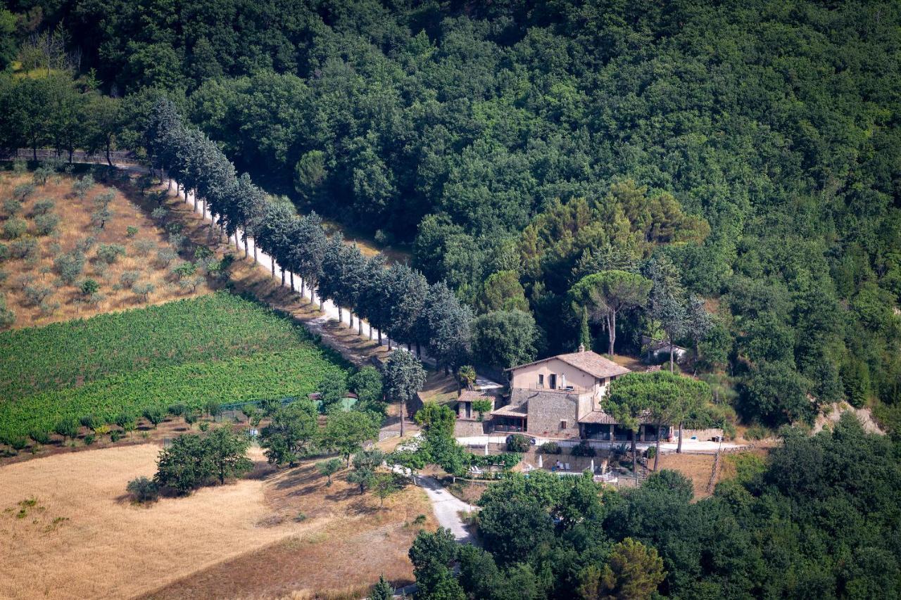 Agriturismo Colle Pu Pieve San Nicolo ภายนอก รูปภาพ