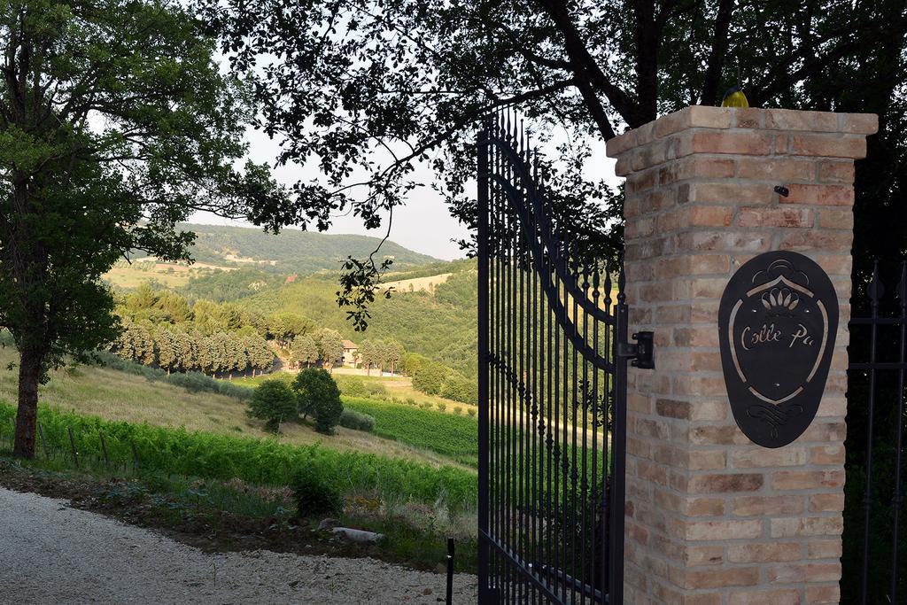 Agriturismo Colle Pu Pieve San Nicolo ภายนอก รูปภาพ