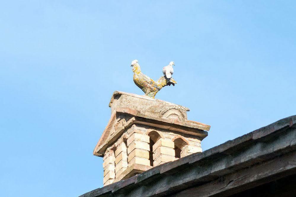 Agriturismo Colle Pu Pieve San Nicolo ภายนอก รูปภาพ