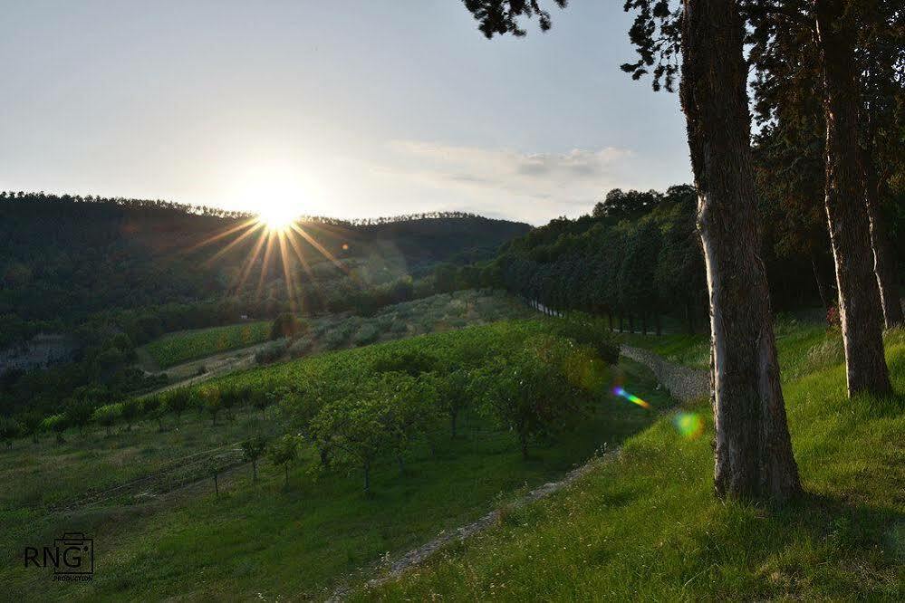 Agriturismo Colle Pu Pieve San Nicolo ภายนอก รูปภาพ