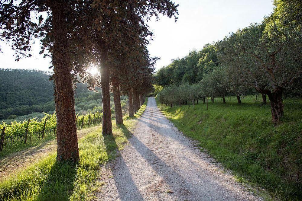 Agriturismo Colle Pu Pieve San Nicolo ภายนอก รูปภาพ